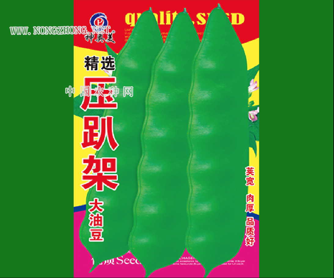 精选压趴架大油豆